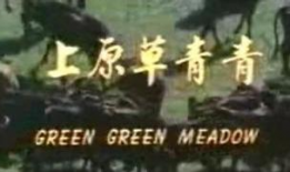 青青草原免费在线视频,畅享草原风情，尽享视觉盛宴